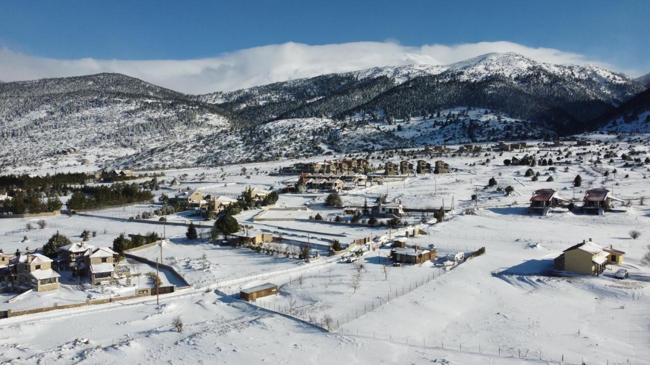 Chalet Renata 1 Livadi Arachovas Kalivia  Екстер'єр фото